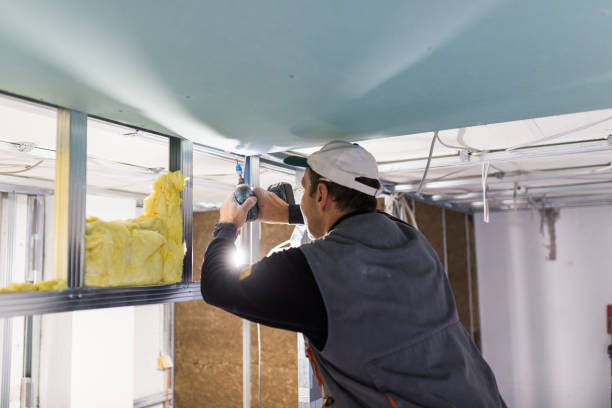 Best Insulation Installation Services in Saxonburg, PA